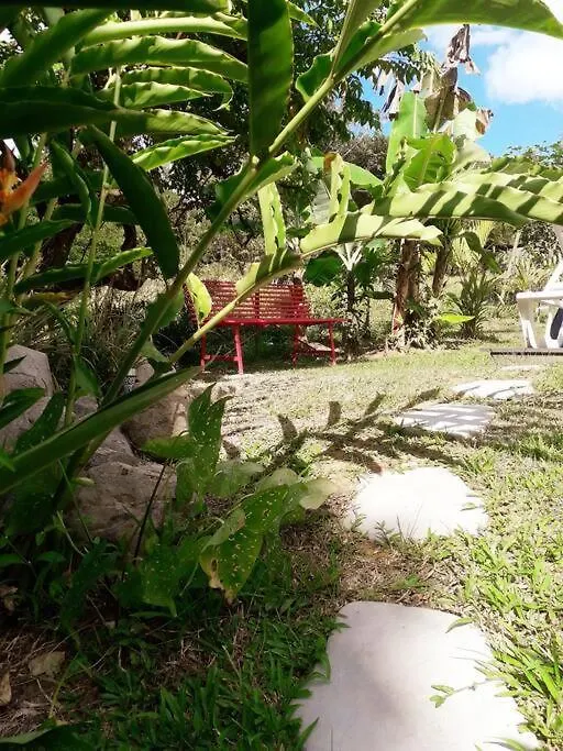 Holiday home Le Chant Des Pipiris Villa Riviere-Salee
