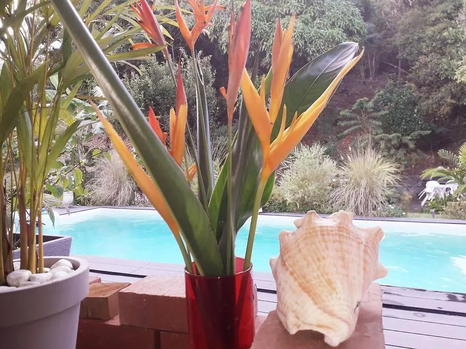 Holiday home Le Chant Des Pipiris Villa Riviere-Salee